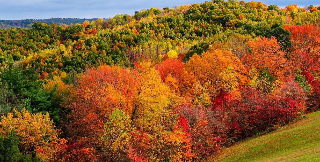 Hocking Hills Autumn Generic